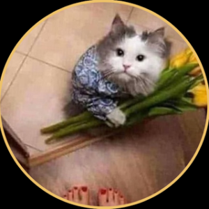 EJECUCIÓN (Momento de la Verdad)