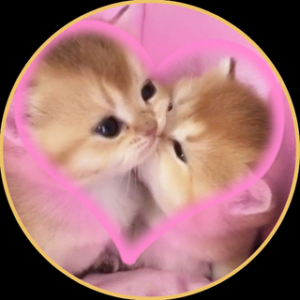 AJUSTES (Iteración & Feedback Loop)